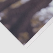 Decoupage Australian Shepherd Buddy Tissuepapier (Detail)