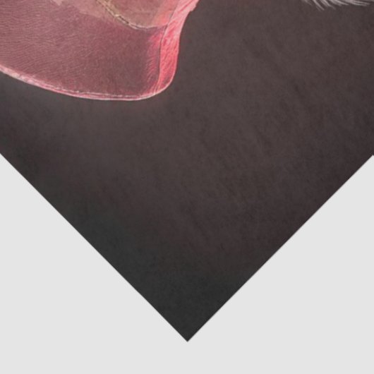 Decoupage Chameleon Rock Fur Feather Funk Band Tissuepapier (Detail)