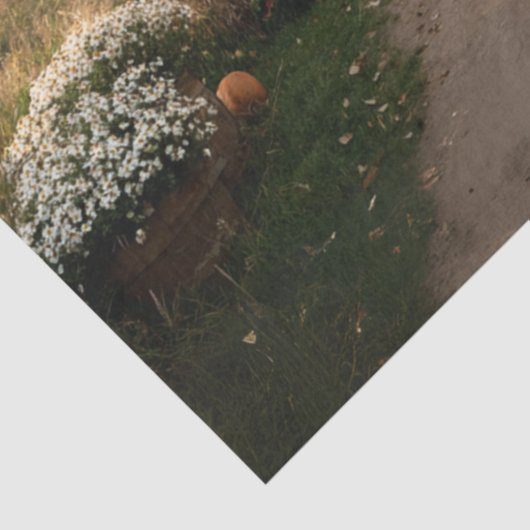 Decoupage Country Side Engeland Herfst landschap Tissuepapier (Detail)