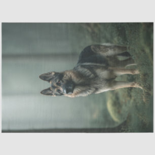 Decoupage Duitse herder in mistig bos Tissuepapier