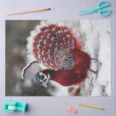 Decoupage Exotische Rode Kerstvogel Tissuepapier (Craft)