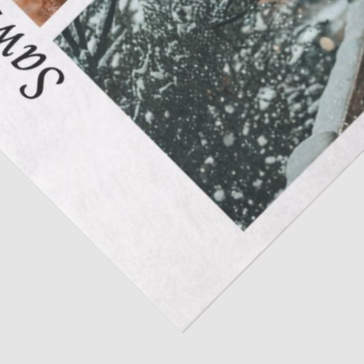 Decoupage Fox Forest Scenes Handsaw Panels Tissuepapier (Detail)