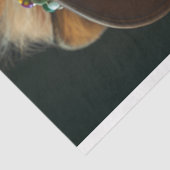 Decoupage  Gekleed Charismatische Leeuw Tissuepapier (Detail)