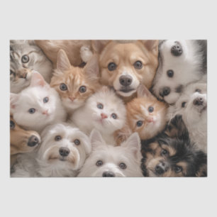 Decoupage grillige katten en honden hartverwarmend tissuepapier