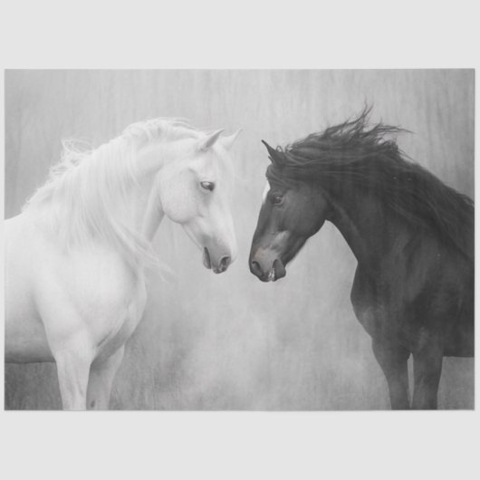 Decoupage grillige zwart witte paarden interactie tissuepapier (Voorkant)