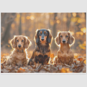 Decoupage Herfst instellen Teckels Herfstbladeren Tissuepapier
