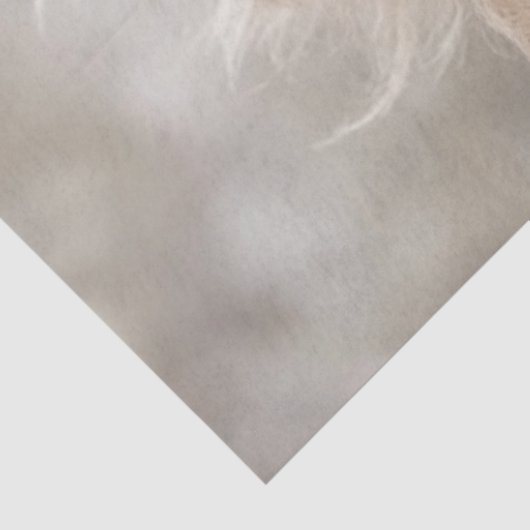 Decoupage Highland Calf Zonnebloemen Tissuepapier (Detail)