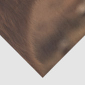 Decoupage Highland Koe & Kalf Nuzzling Tissuepapier (Detail)