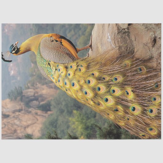 Decoupage Mountain Majestic Peacock Golden  Tissuepapier (Voorkant)