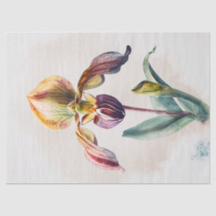 Decoupage papier, inpakken, - Blooming Splendor 1 Tissuepapier
