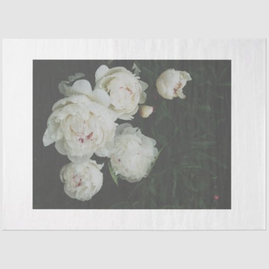 Decoupage-papier van witte pioenen tissuepapier (Voorkant)