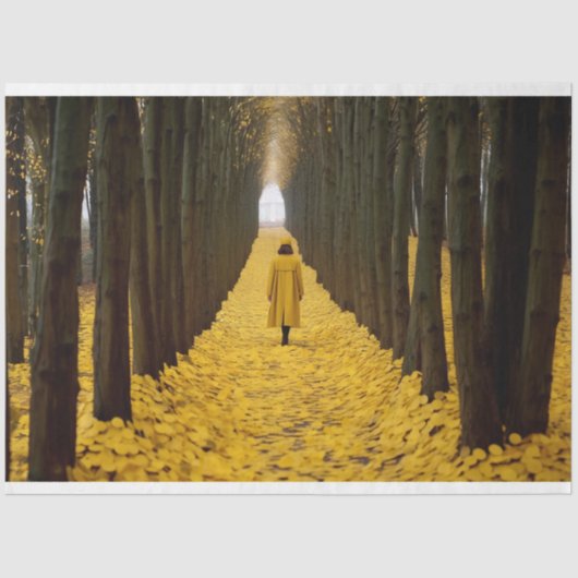 Decoupage Papier, Verpakking, Fluistert van het Wi Tissuepapier (Voorkant)