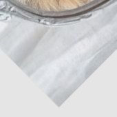 Decoupage Reflection Self of Kitten and Lion  Tissuepapier (Detail)