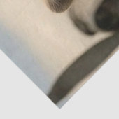 Decoupage Retro Aviation Racoon Leather Jacket  Tissuepapier (Detail)