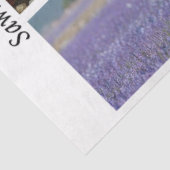 Decoupage Running Horses Rustic Wild Horse Handsaw Tissuepapier (Detail)