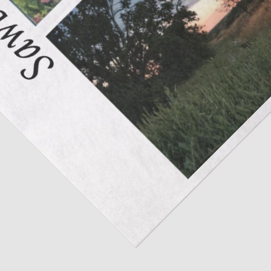 Decoupage Rustic Farm Style 26x6 for Handsaws Tissuepapier (Detail)