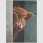 Decoupage Rustic Highland Calf Peek a Boo Art  Tissuepapier (Voorkant)