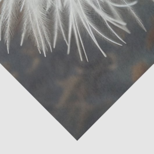 Decoupage Silkie Showgirl Chicken White Feathers Tissuepapier (Detail)