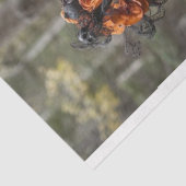 Decoupage Skeleton Family Scaselton Tissuepapier (Detail)