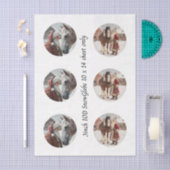 Decoupage Snow Globe Santa & Horse  Tissuepapier (Craft)