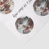 Decoupage Snow Globe Santa & Horse  Tissuepapier (Detail)