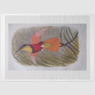 Decoupage Tissue Paper Bird Art Tissuepapier