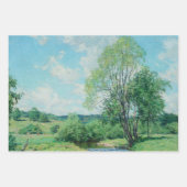  decoupage van landschapsboomscène inpakpapier vel (Voorkant)