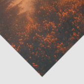 Decoupage Zwarte Woud Duitsland Sunrise Tissuepapier (Detail)