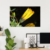 Découpe sur une marguerite jaune - Impression phot (Bureau à domicile)