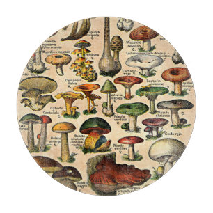 Découper Illustrations de champignons vintage Planche à déc