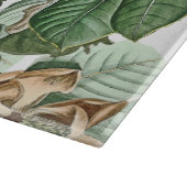 Découper La magnolia d'or blanc fleurit la planche à (Coin)