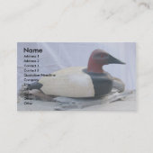 Décoy Canvasback #1 Cartes de visite (Devant)