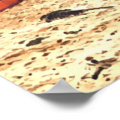 Dee Why Northern beaches sydney Poster (Hoek)