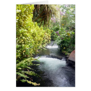 deegwater