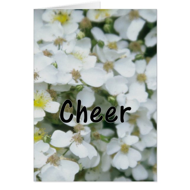 Deel Cheer met anderen (Voorkant)