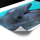 Deel een Dolphin's Smile Poster (Hoek)