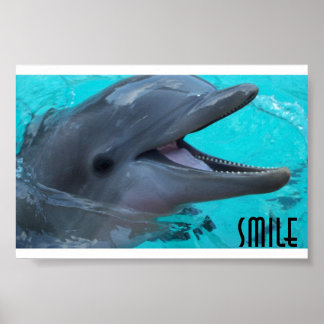 Deel een Dolphin's Smile Poster