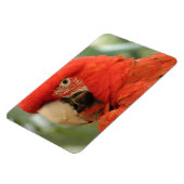 DEEL MAGNEET (Linkerzijde)