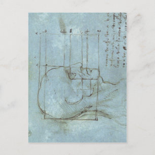 Deel van het hoofd 1488 1489 ) is een tekening b briefkaart