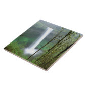 Deelstaat Noord-Amerika, VS, Oregon, Silver Herfst Tegeltje (Zijkant)