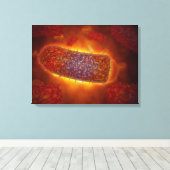 Deeltjes 2 canvas afdruk (Insitu (Houten vloer))