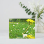 Deens veld briefkaart (Staand voorkant)