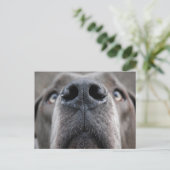 Deense dog briefkaart (Staand voorkant)