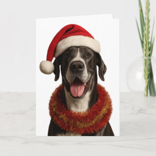 Deense dog met kerstmannenhoed Kerstkaart Kaart