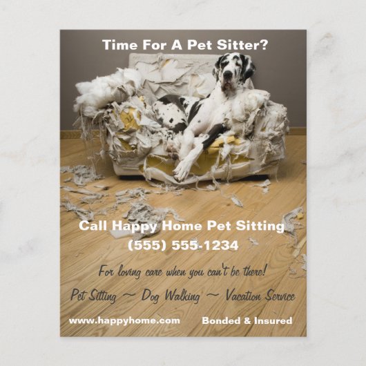 Deense Dog op Kauwende Bank Huisdier Oppas Flyer 4 (Voorkant)