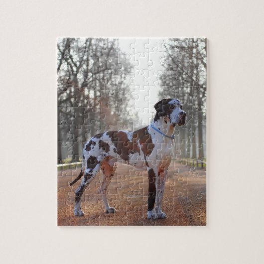 Deense Dog Puzzle Legpuzzel (Verticaal)