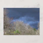 Deep Blue Skyline Briefkaart (Voorkant)