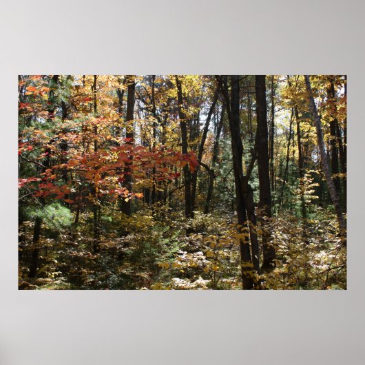 Deep Bossen Beauty Poster (Voorkant)