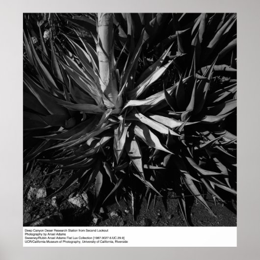 Deep Canyon Desert Research Station van Ansel Adam Poster (Voorkant)