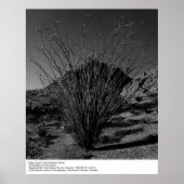 Deep Canyon Desert Research Station van Ansel Adam Poster (Voorkant)